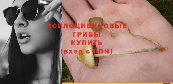 молекула духа Алексин