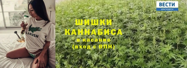 молекула духа Алексин