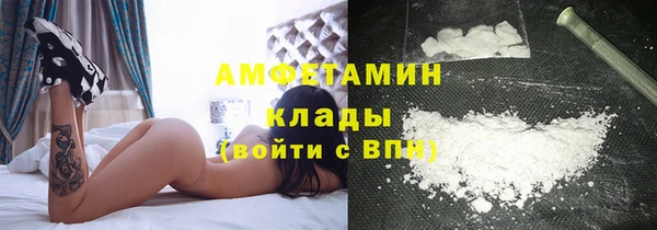 молекула духа Алексин